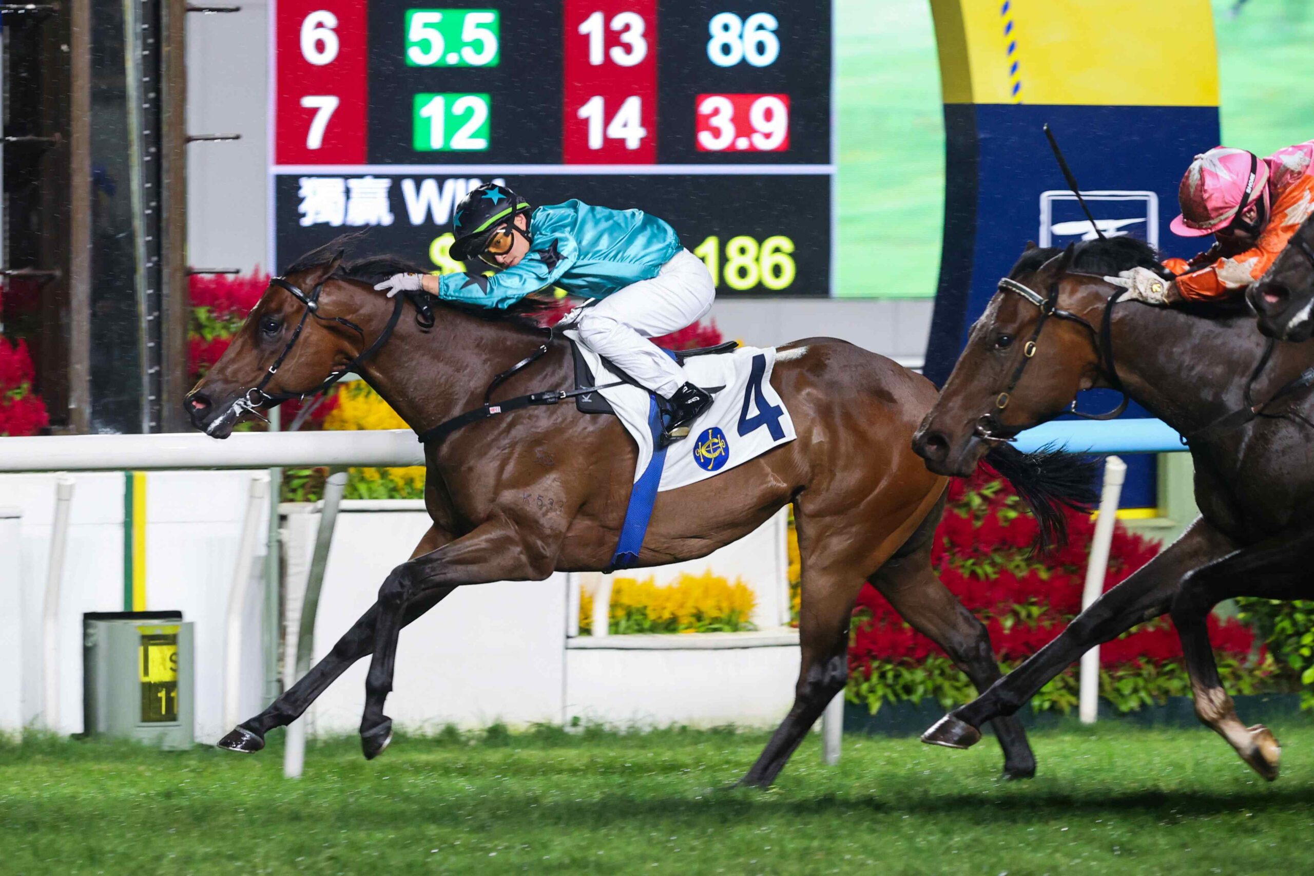 Francis Lui during the Hong Kong trainers’ championship race at Sha Tin