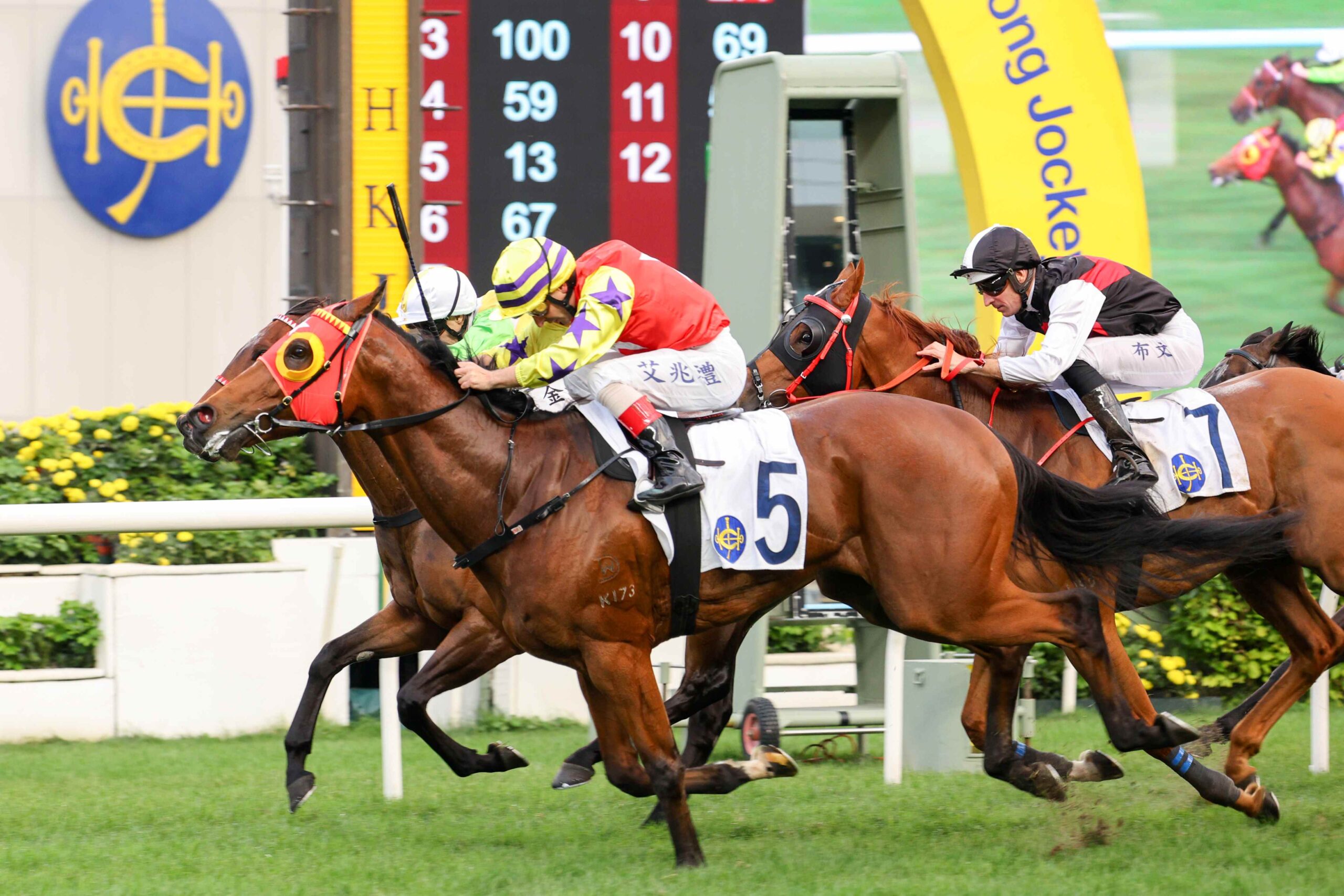 Hot Delight prepares for the Sai Wan Shan Handicap at Sha Tin Racecourse