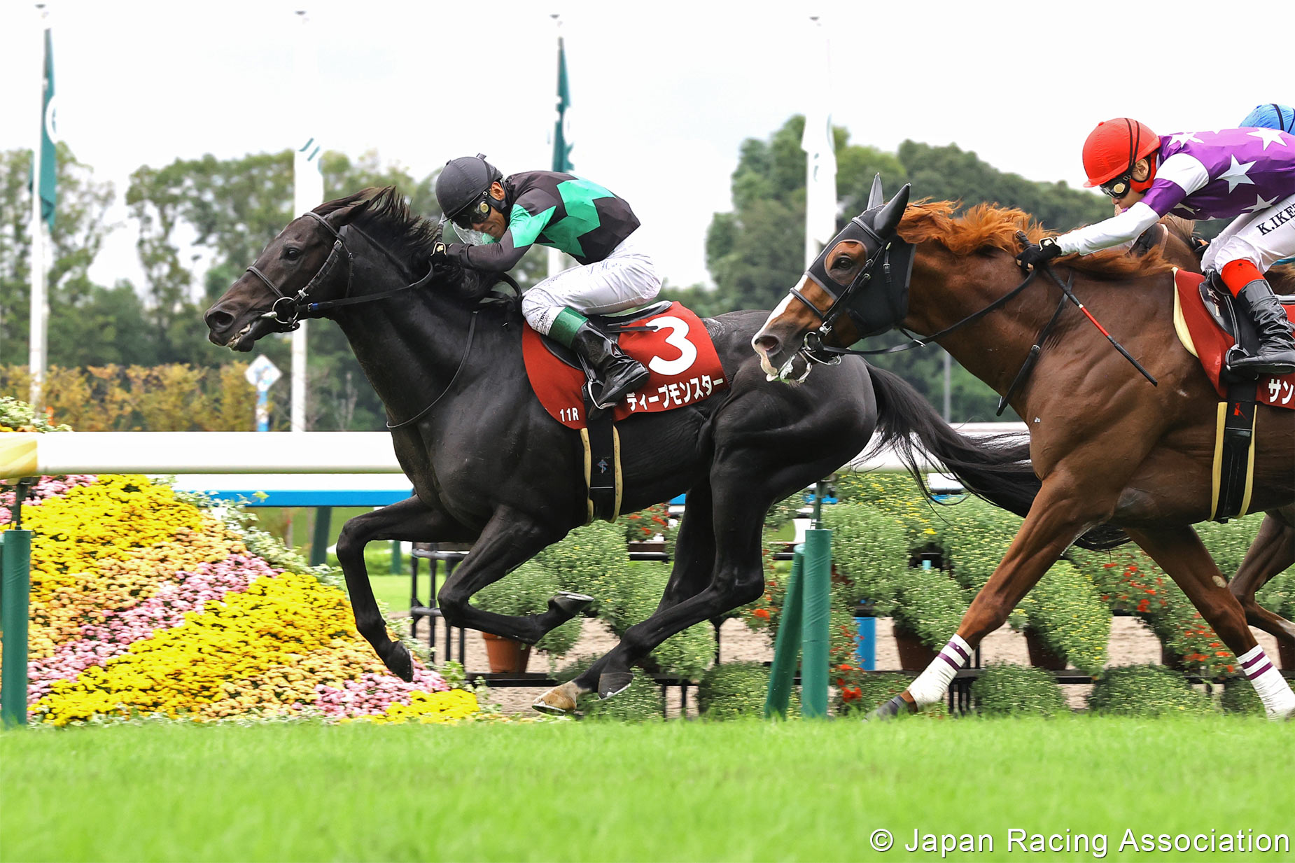 Joao Moreira riding Deep Monster at Sha Tin Racecourse ahead of Champions & Chater Cup 2026
