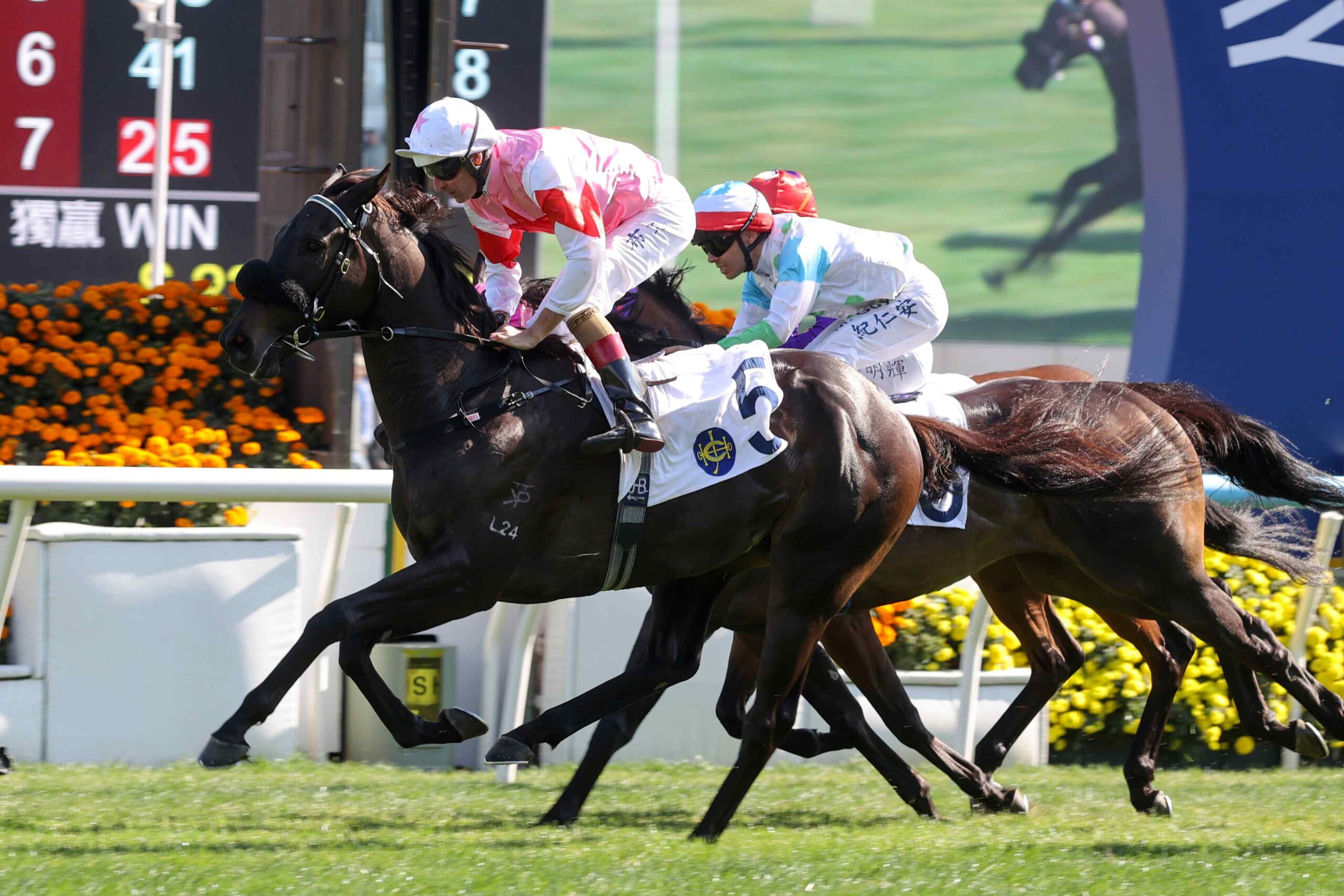 David Hayes discussing Hong Kong trainers’ championship battle during racing season