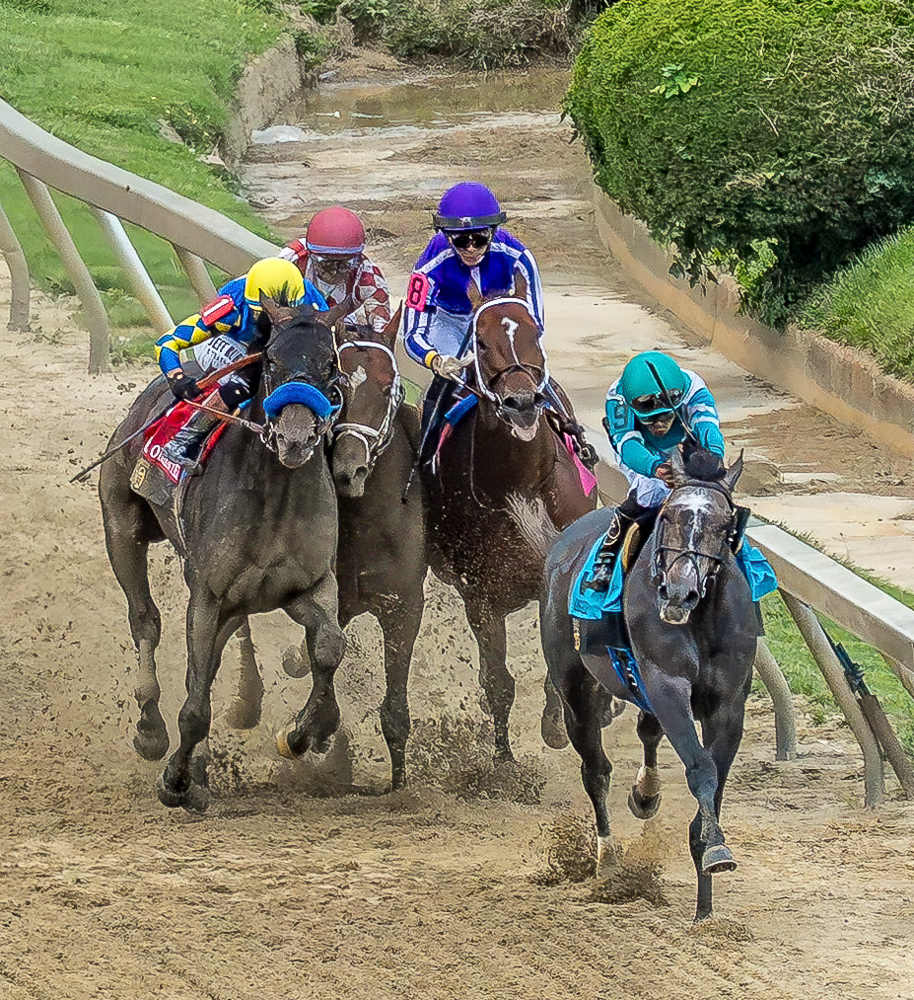 Bob Ehalt and Charles Toler recognised for 2025 Preakness Stakes media awards at Laurel Park