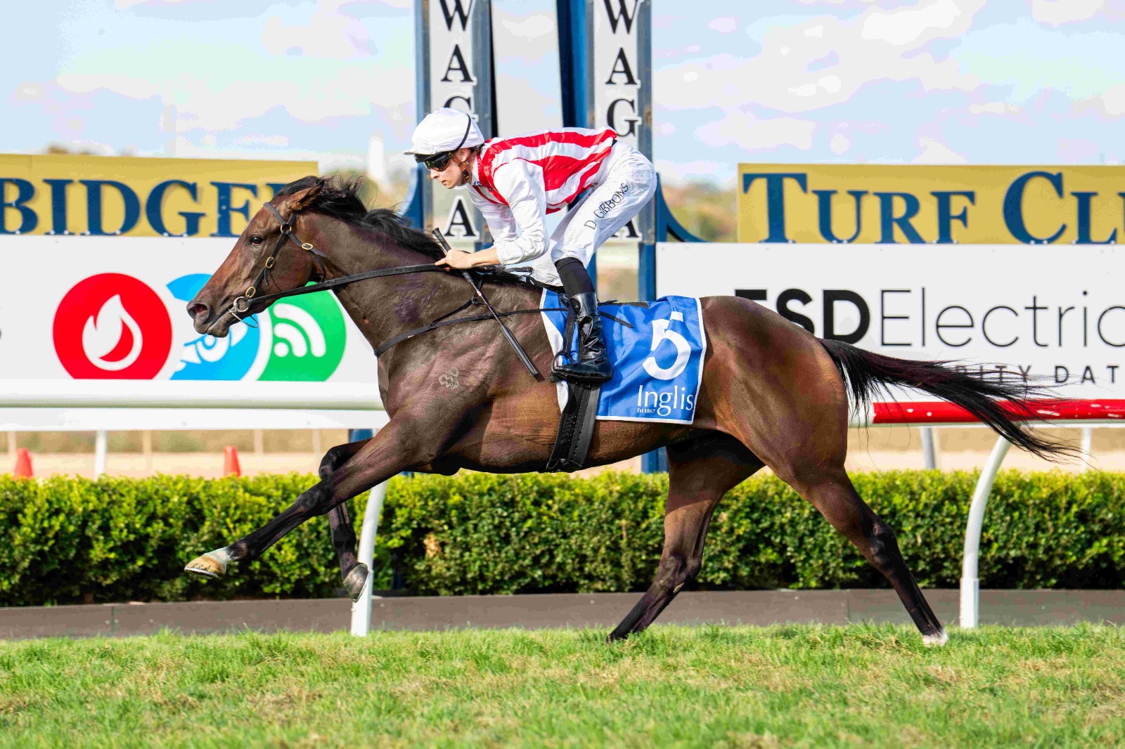 Global Goal winning the Inglis Challenge at Wagga under Dylan Gibbons