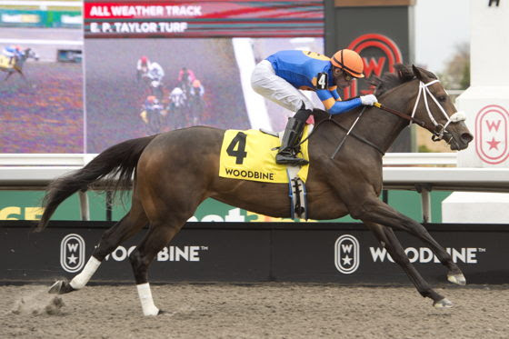 Reagan’s Flame finishing strongly to win Whimsical Stakes at Woodbine
