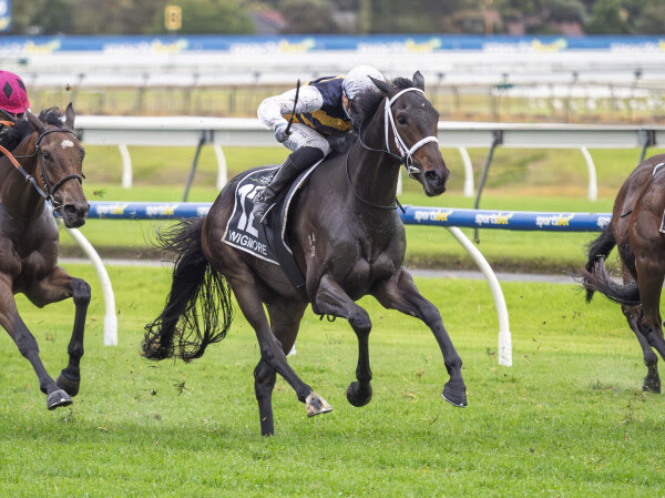 Wigmore winning South Australian Derby at Morphettville