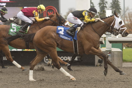 G T Five Hundred finishing strongly to win the Thorncliffe Stakes at Woodbine
