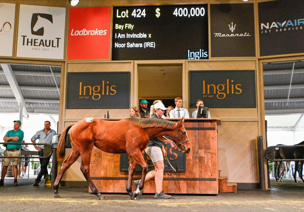 I Am Invincible filly at Australian Weanling Sale topping Day 2