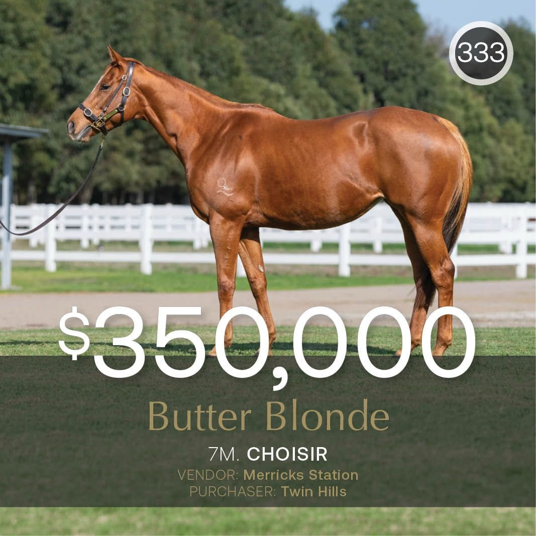 Australian Broodmare Sale Results: Butter Blonde Tops Inglis Digital Auction at $350,000