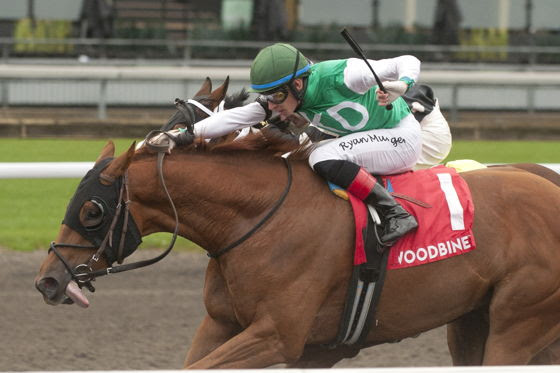 King Corrie Stakes Woodbine 2026 preview at Woodbine Racetrack