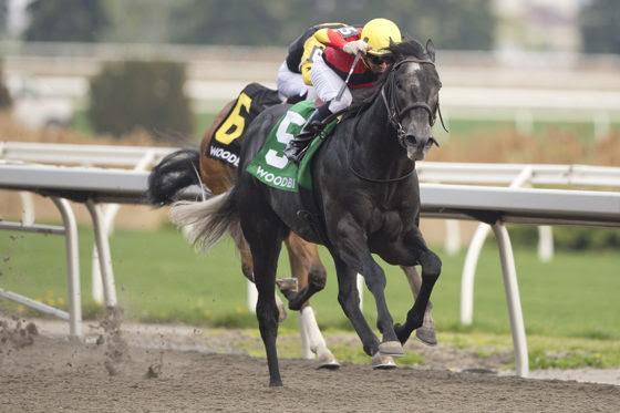 Casson leading late in King Corrie Stakes at Woodbine