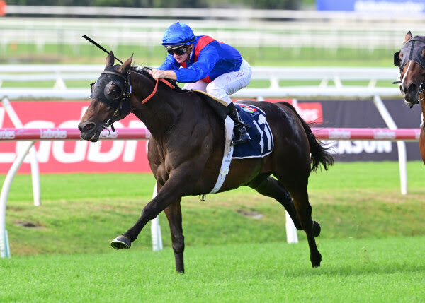 War Eternal winning the Listed Bernborough Handicap at Doomben during a successful day for Karaka graduates