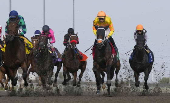 Woodbine racehorses competing in a major stakes race