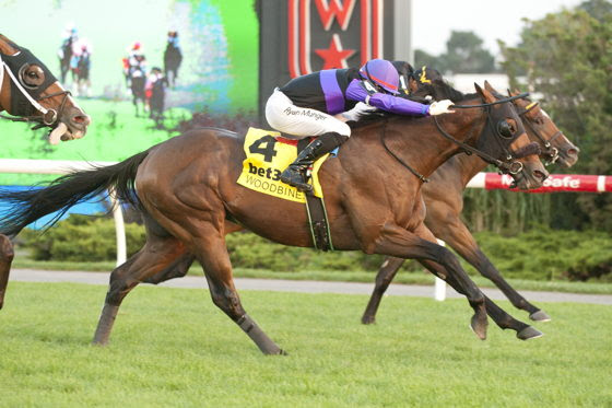 Woodbine Eclipse Stakes 2026