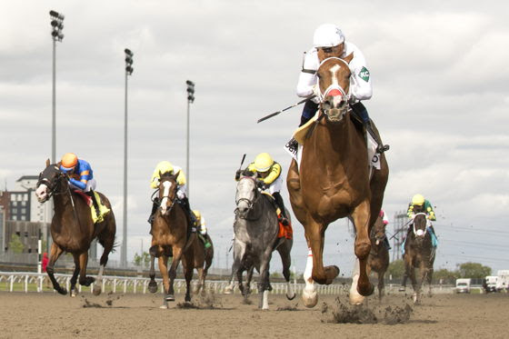 Belle Mahone Stakes 2026
