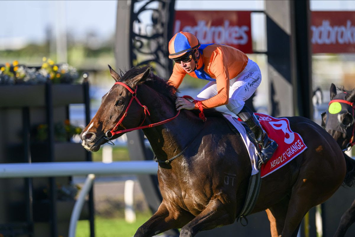 Headley Grange winning Kingsford Smith Cup at Eagle Farm