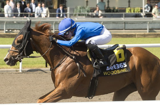 Maycocks Bay Eclipse Stakes win