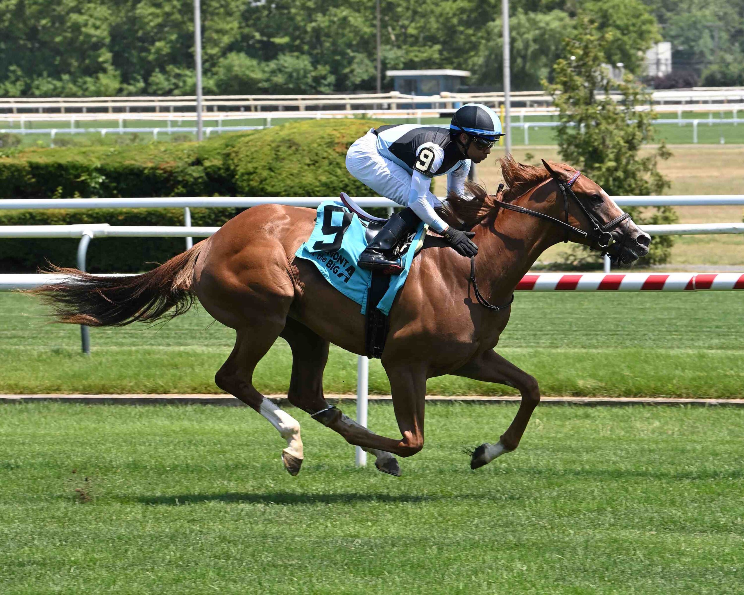 Warming trains ahead of the 2026 Gallorette Stakes at Laurel Park during Preakness weekend