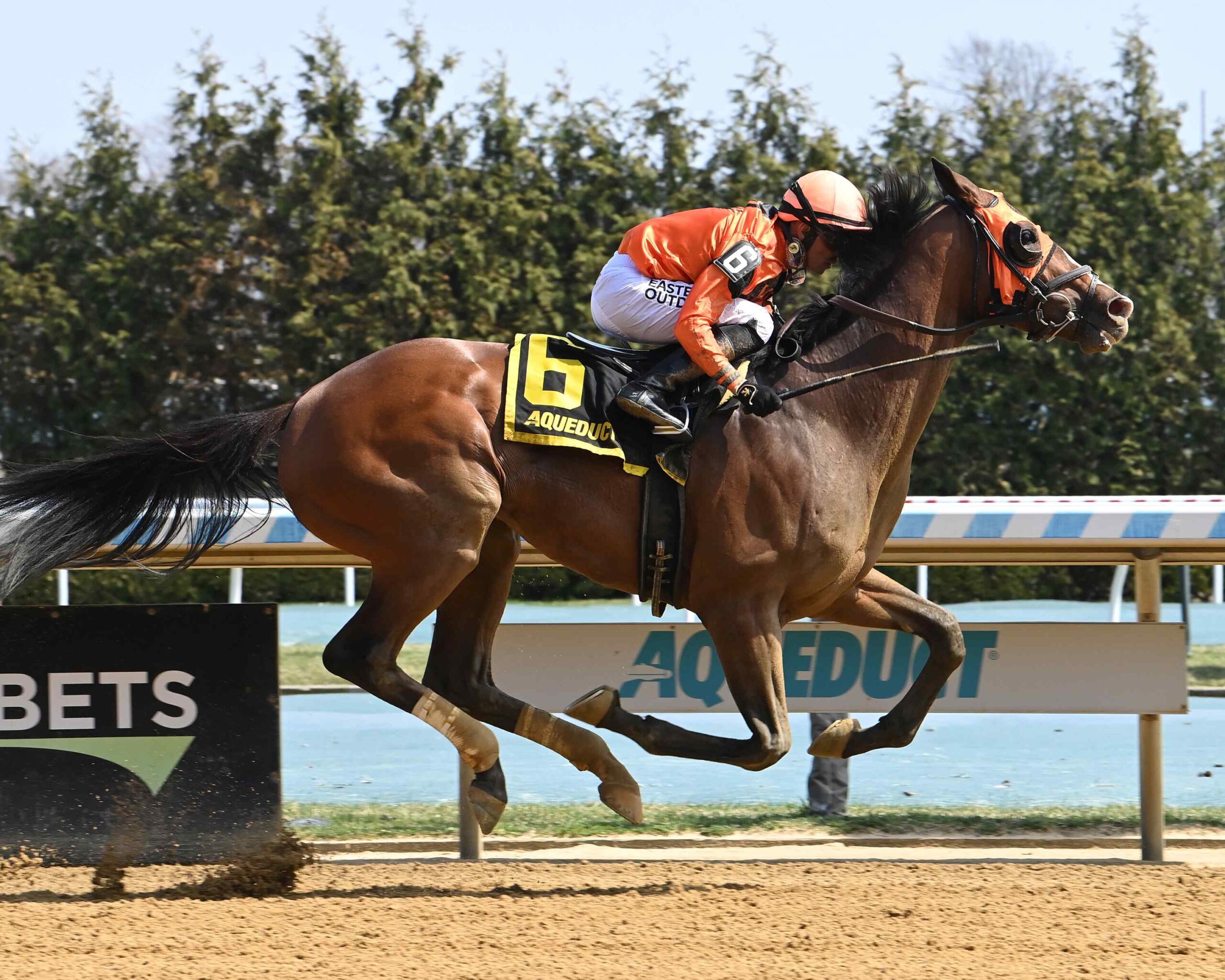 Pimlico Special 2026 preview at Laurel Park
