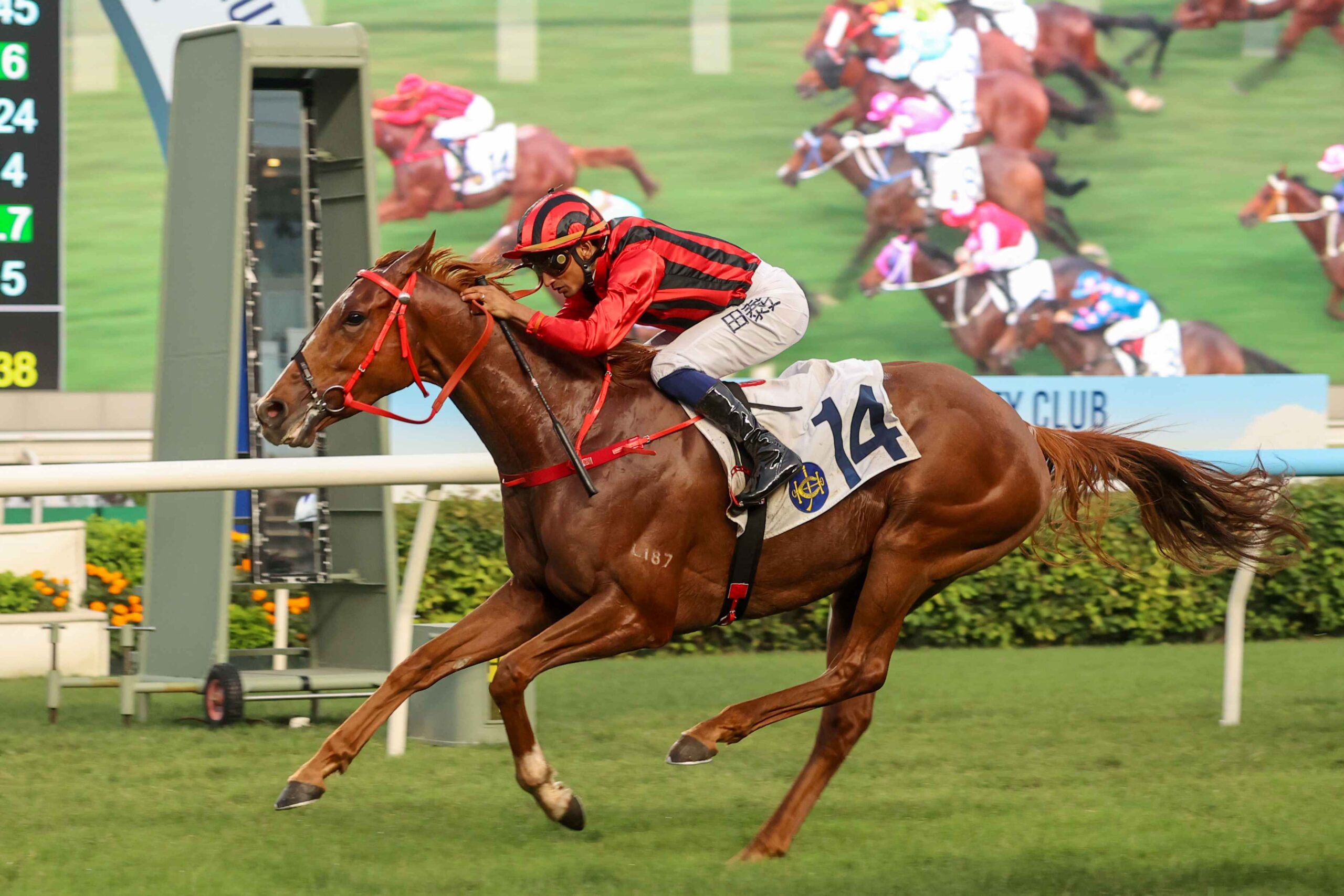 John Size prepares runners for the Premier Cup and Premier Plate at Sha Tin