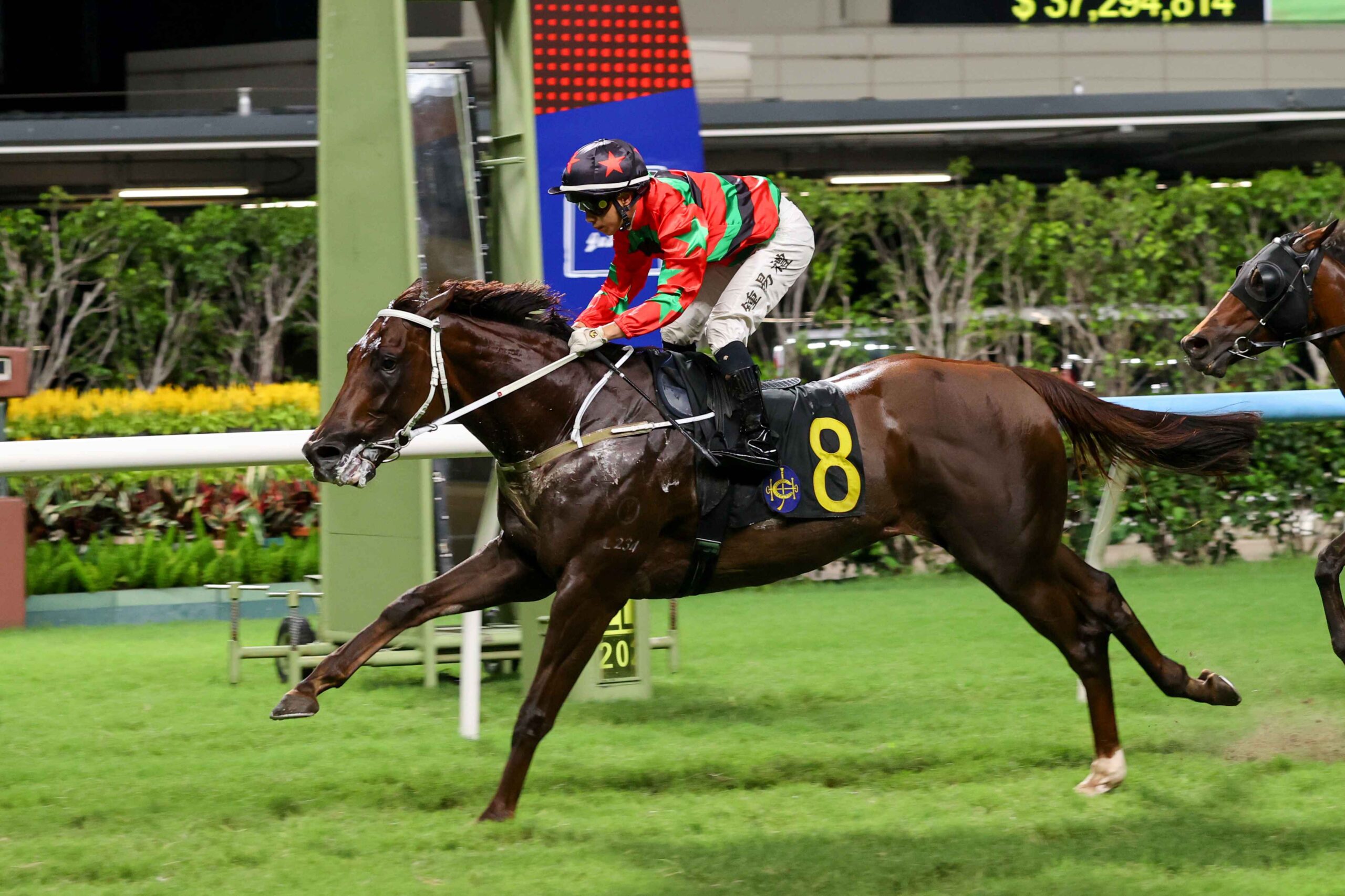 Happy Valley race results