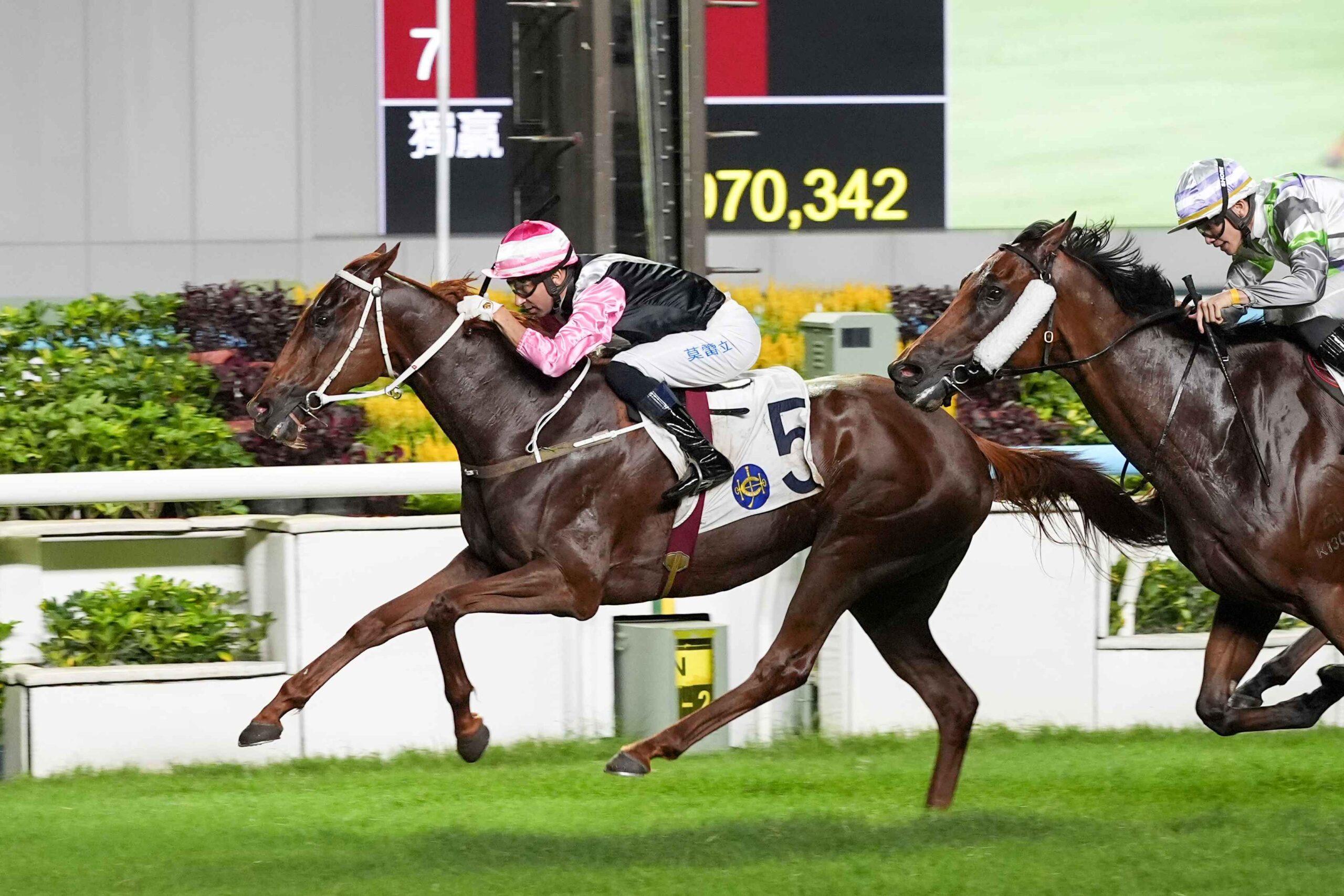 Beauty Joy Wins Premier Plate Handicap Result