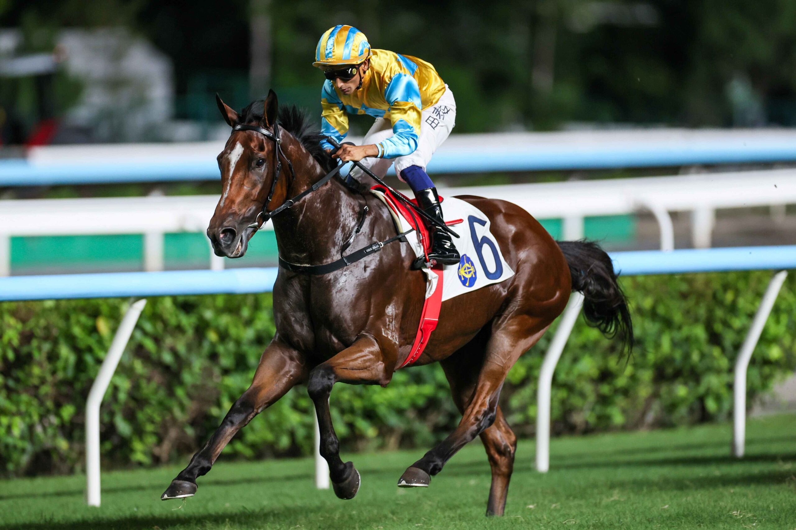 Mr Incredible winning at Sha Tin racecourse