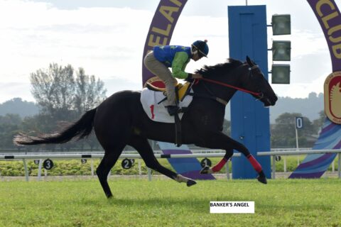 Banker’s Stable horses during Malaysian racing action