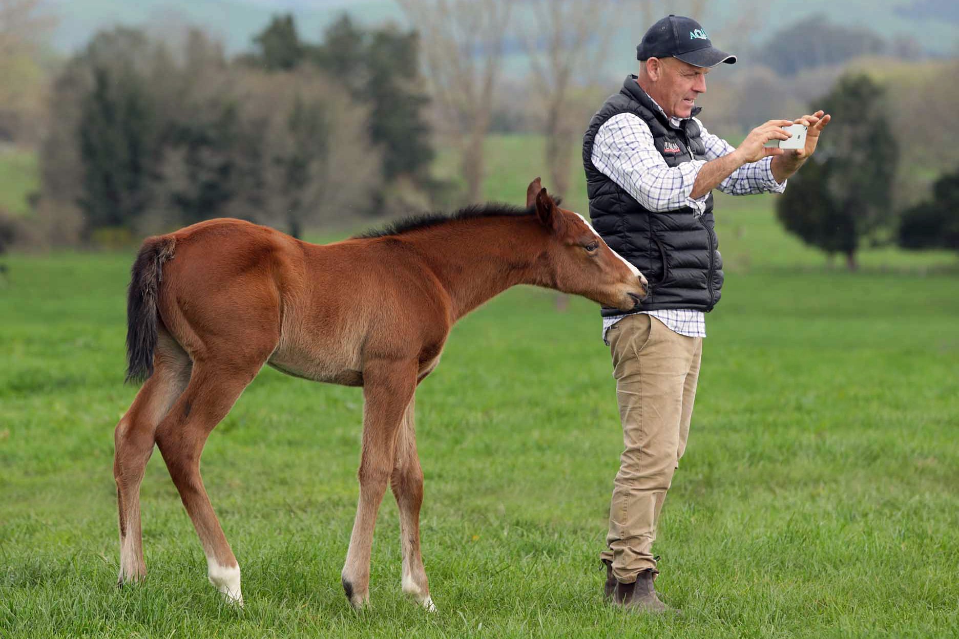 Curraghmore principal Gordon Cunningham with weanlings ahead of the Karaka Weanling Sale 2026