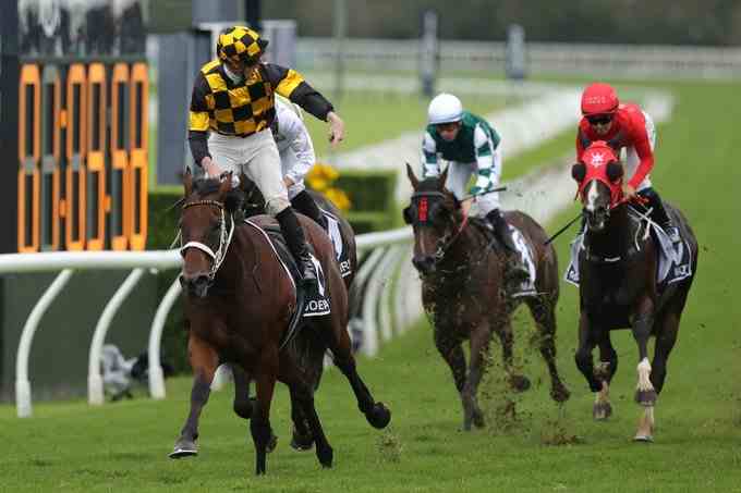 Ombudsman and Daryz ahead of the Prince Of Wales’s Stakes at Royal Ascot 2026