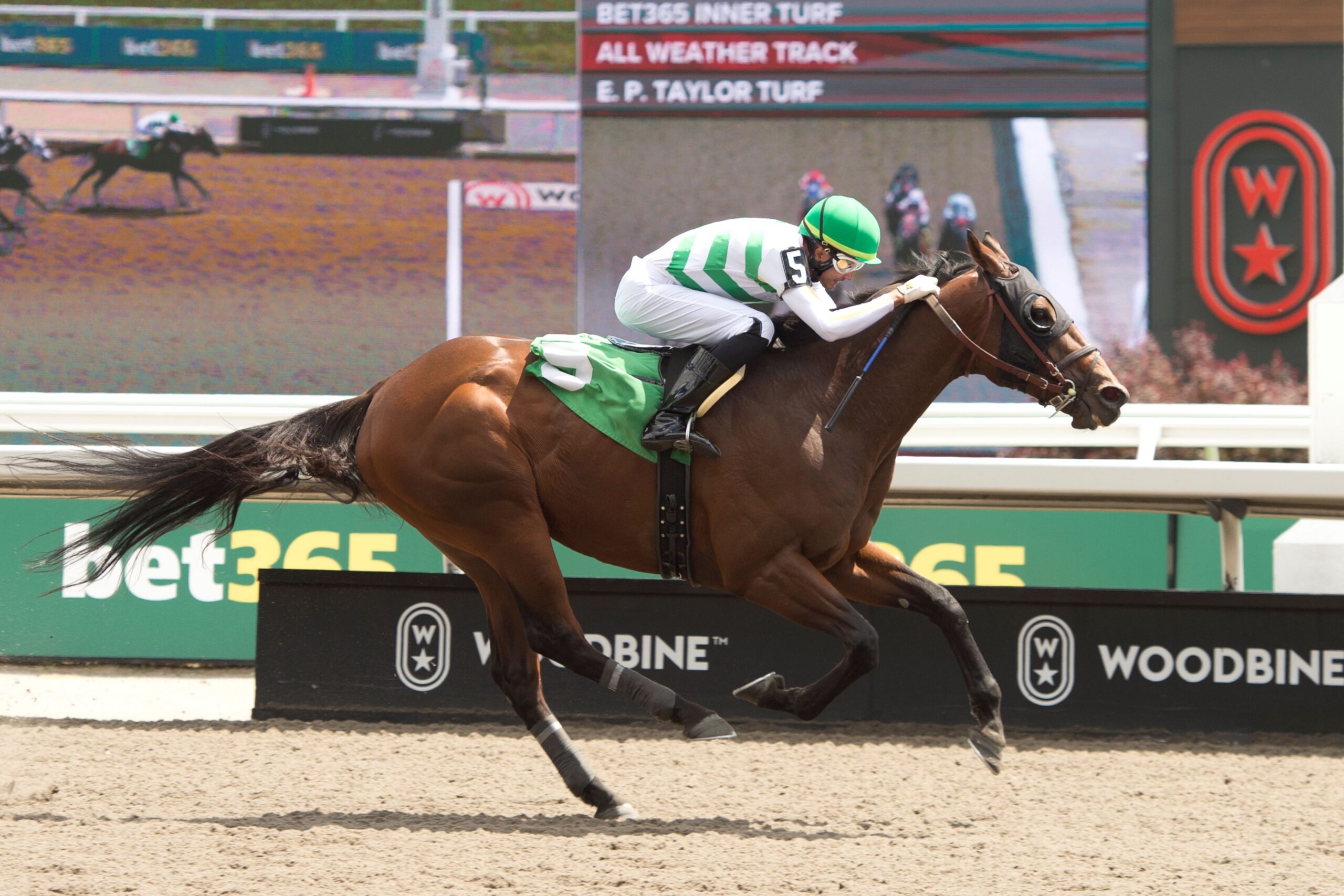 Prayven Badrie Woodbine move Success