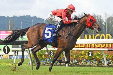 Selangor Mile Race Preview: Banker’s Kingdom Shines