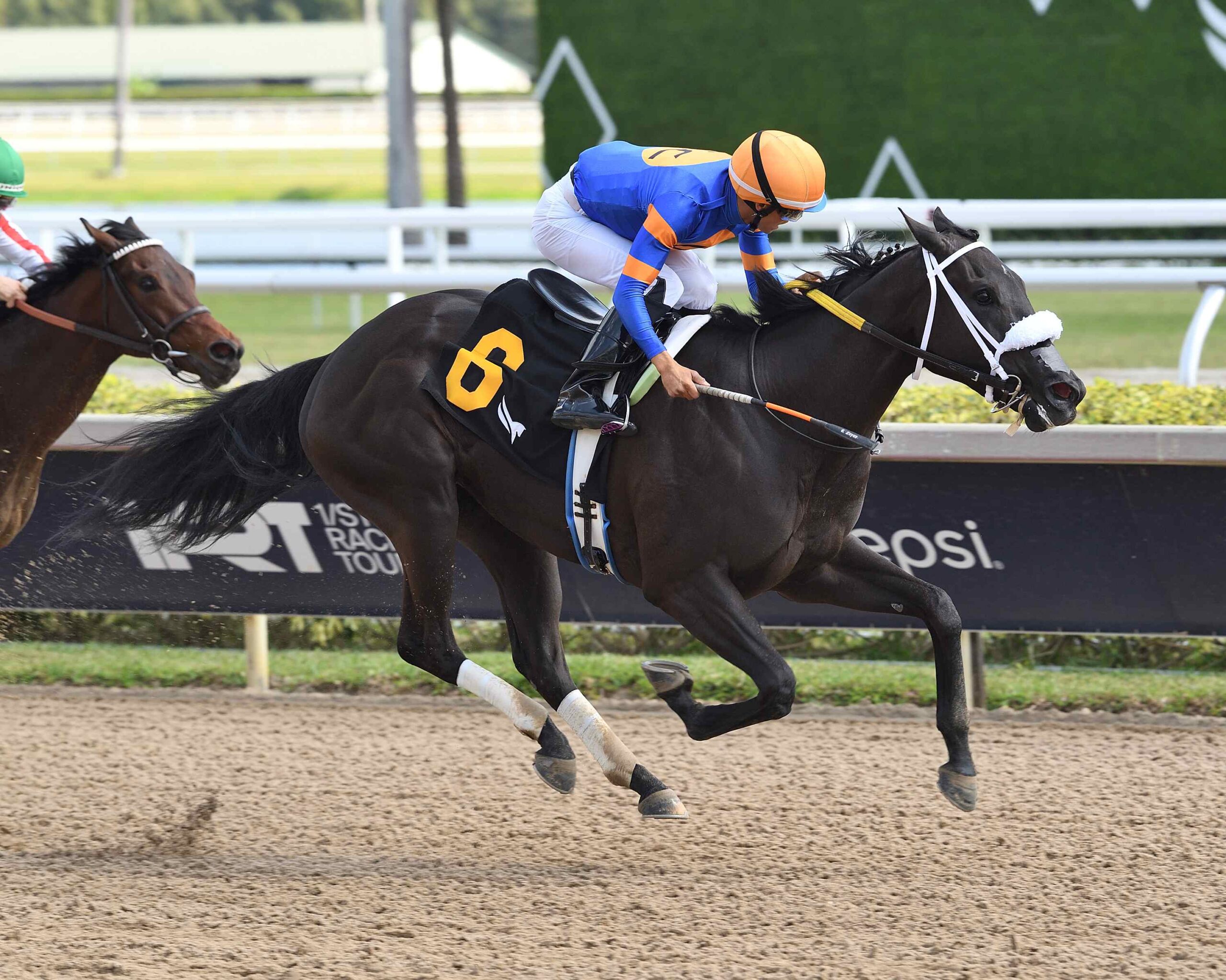Indy Bay competing in the Musical Romance Handicap at Gulfstream Park