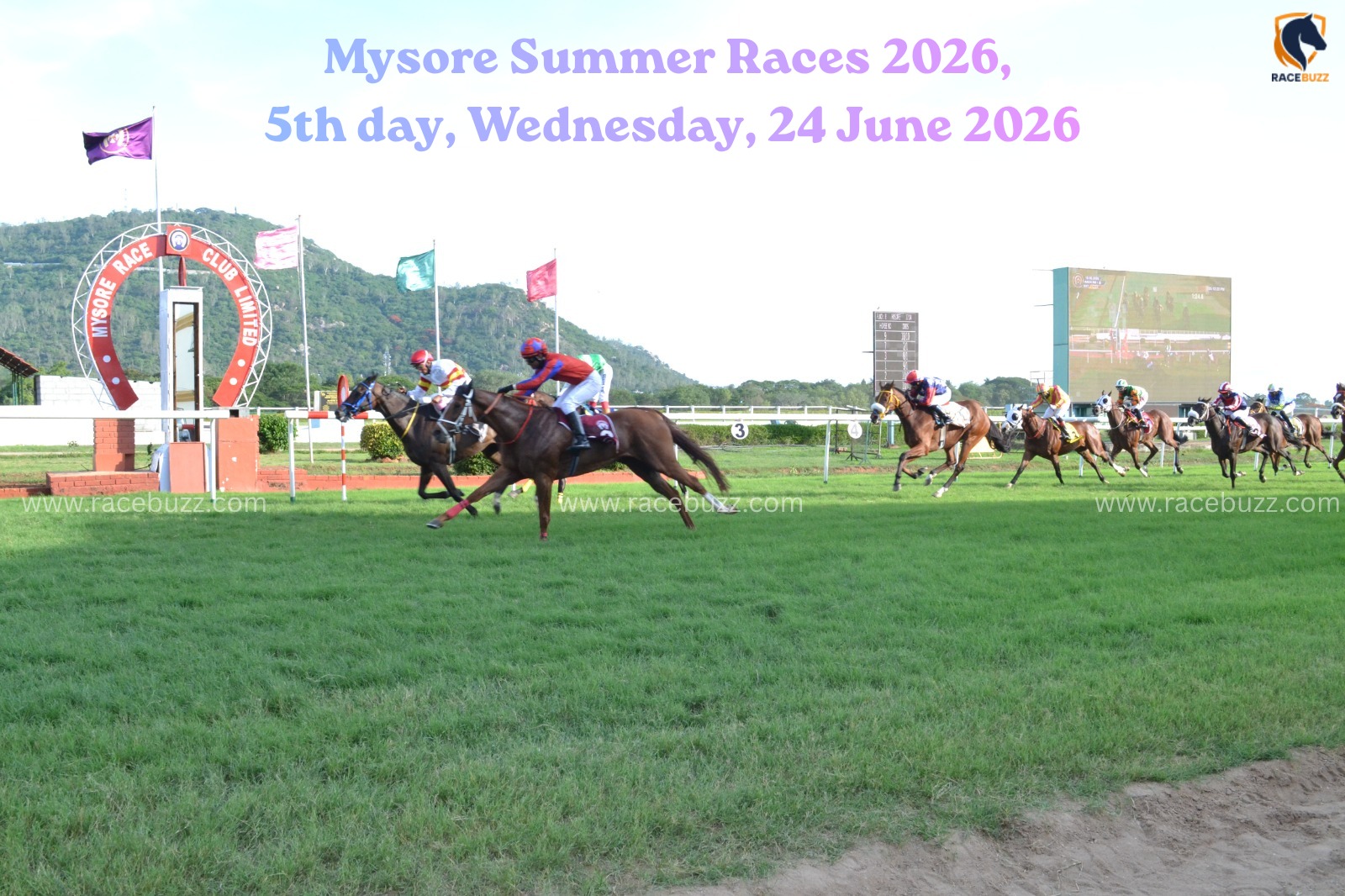 Mysore Summer Races 2026 Results 24 June: Pilot Officer Wins