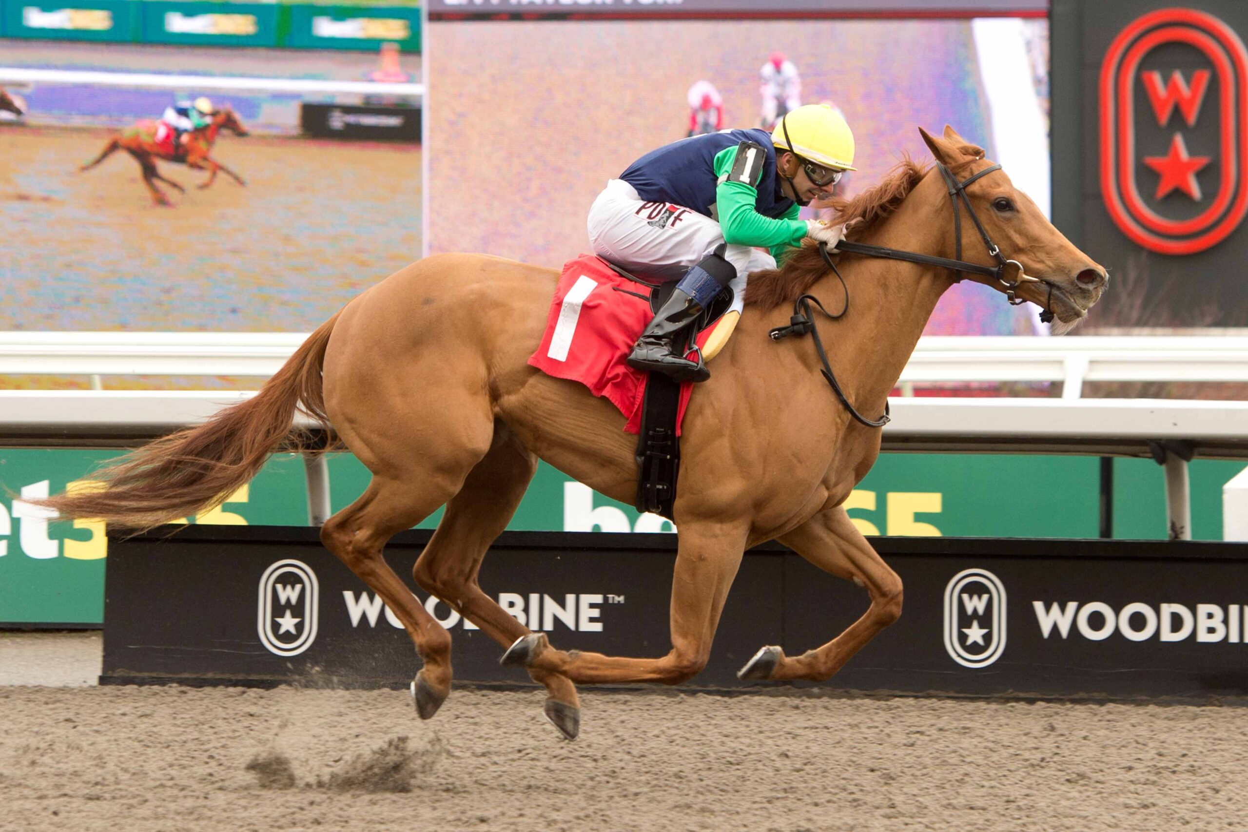 Pageant Queen racing at Woodbine main track