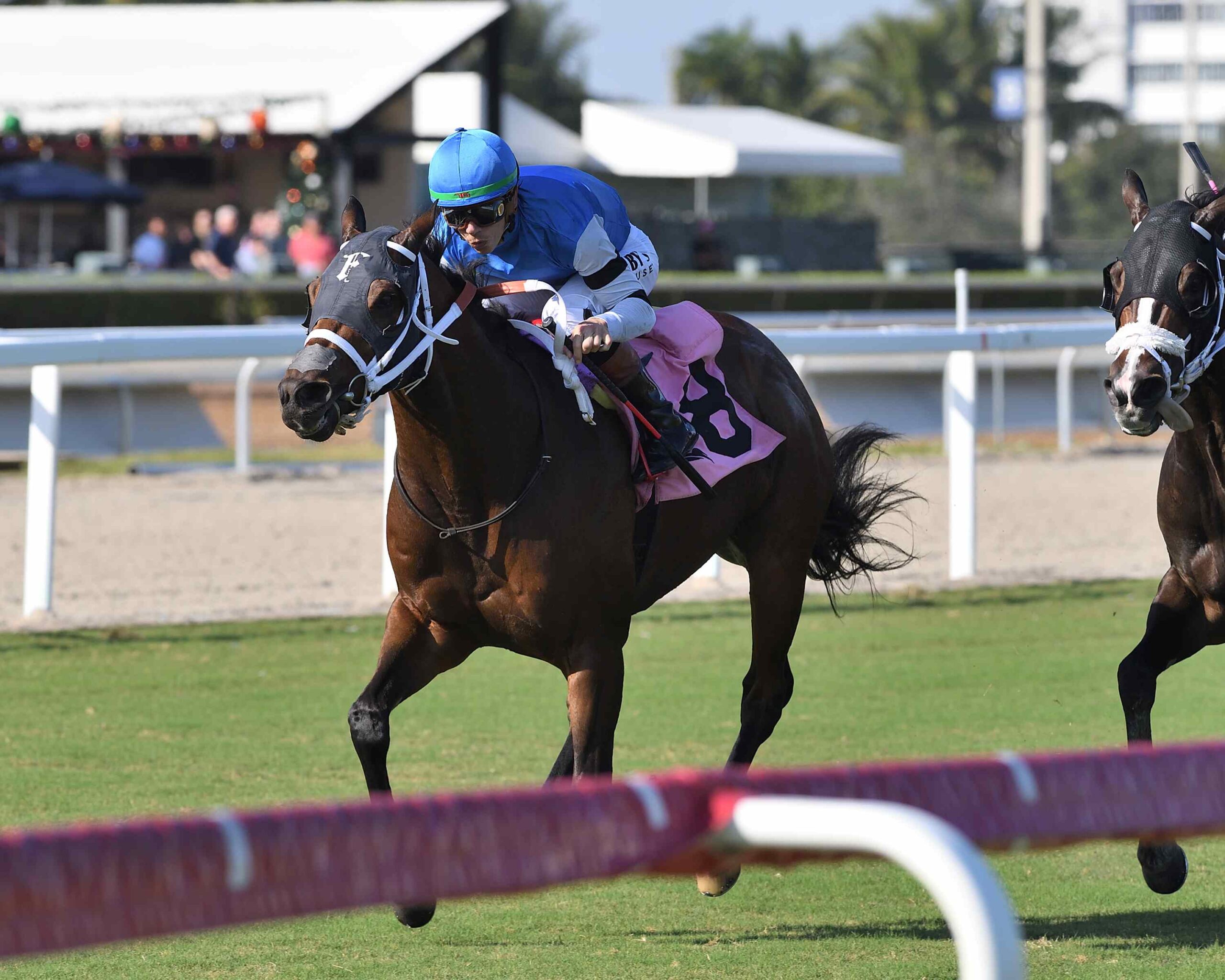 Gulfstream Park stakes preview Saturday horses on track
