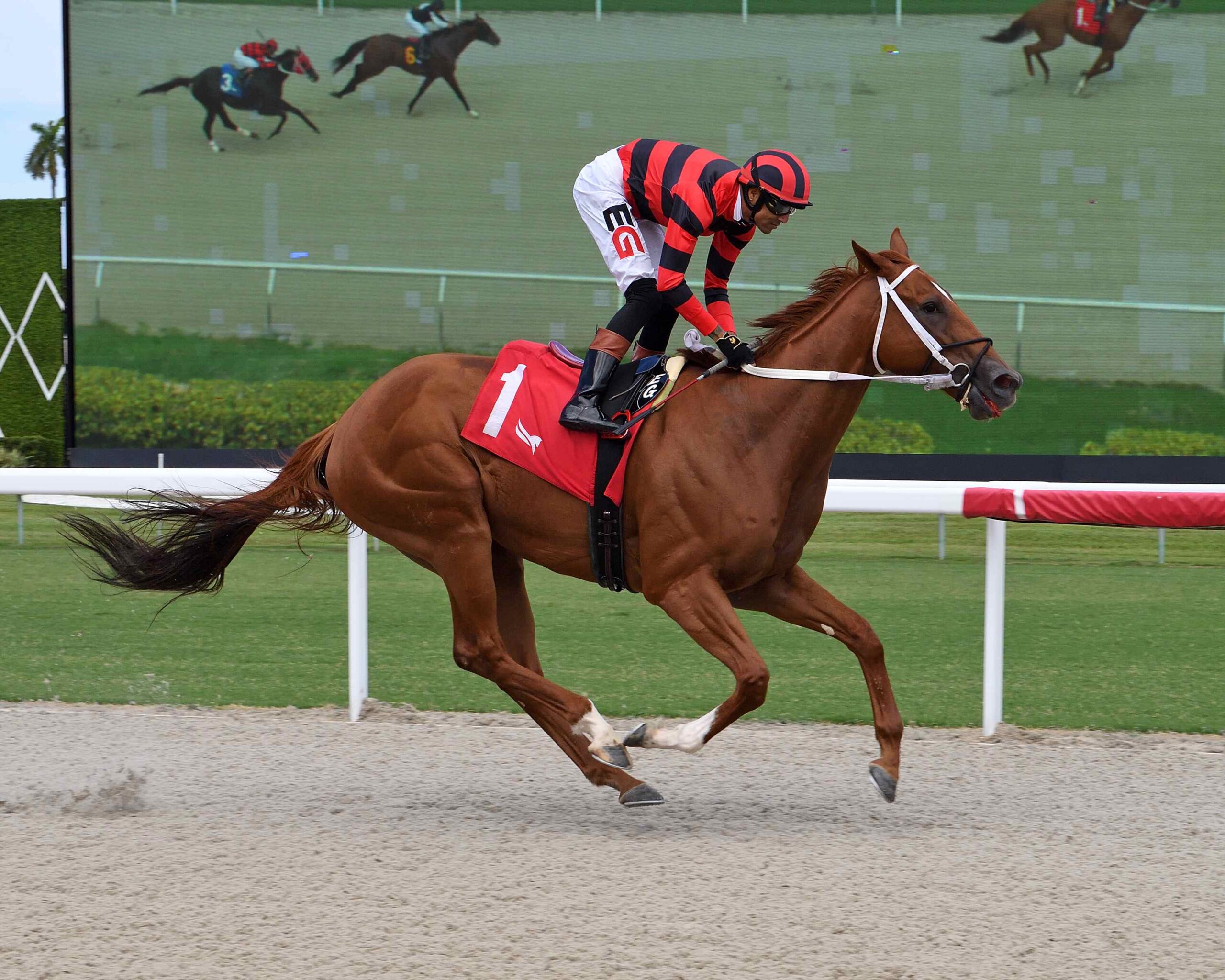 Gulfstream Park race results