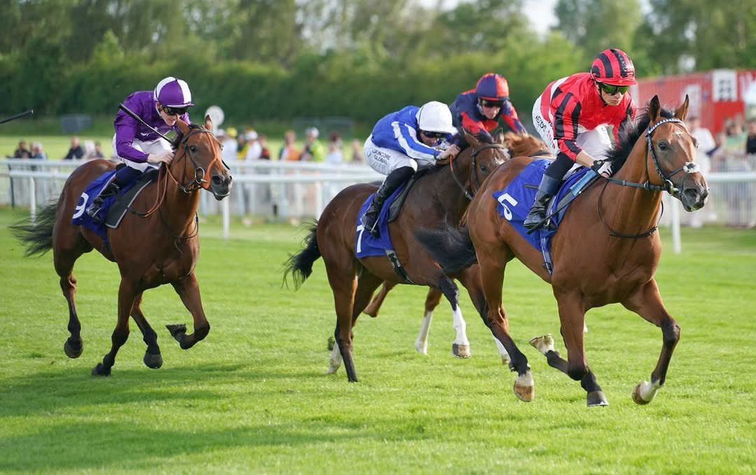 Leicester racecards 25 June evening racing preview at Leicester Racecourse