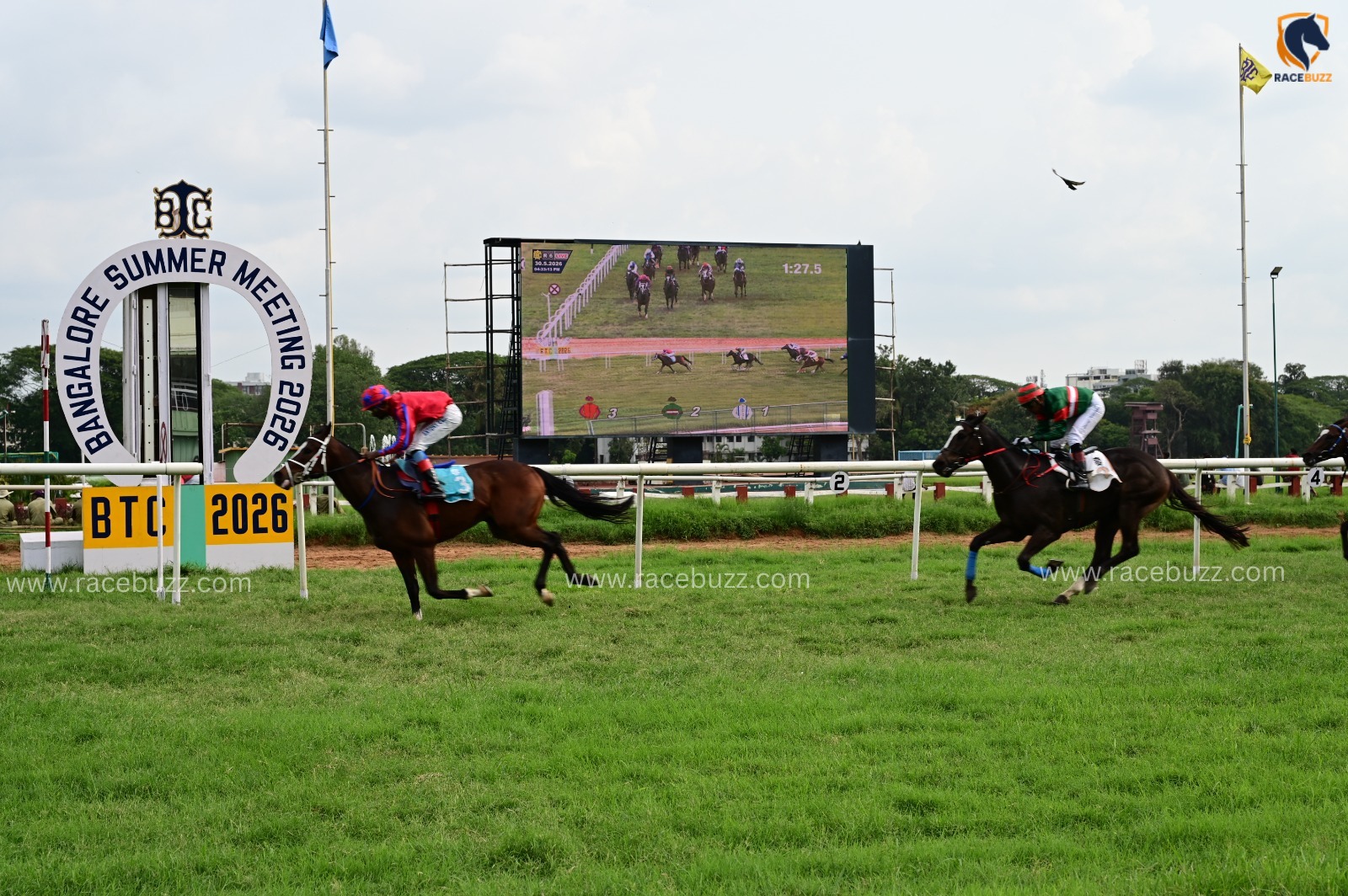Bangalore Race Cards 7 June runners parade at Bangalore Turf Club