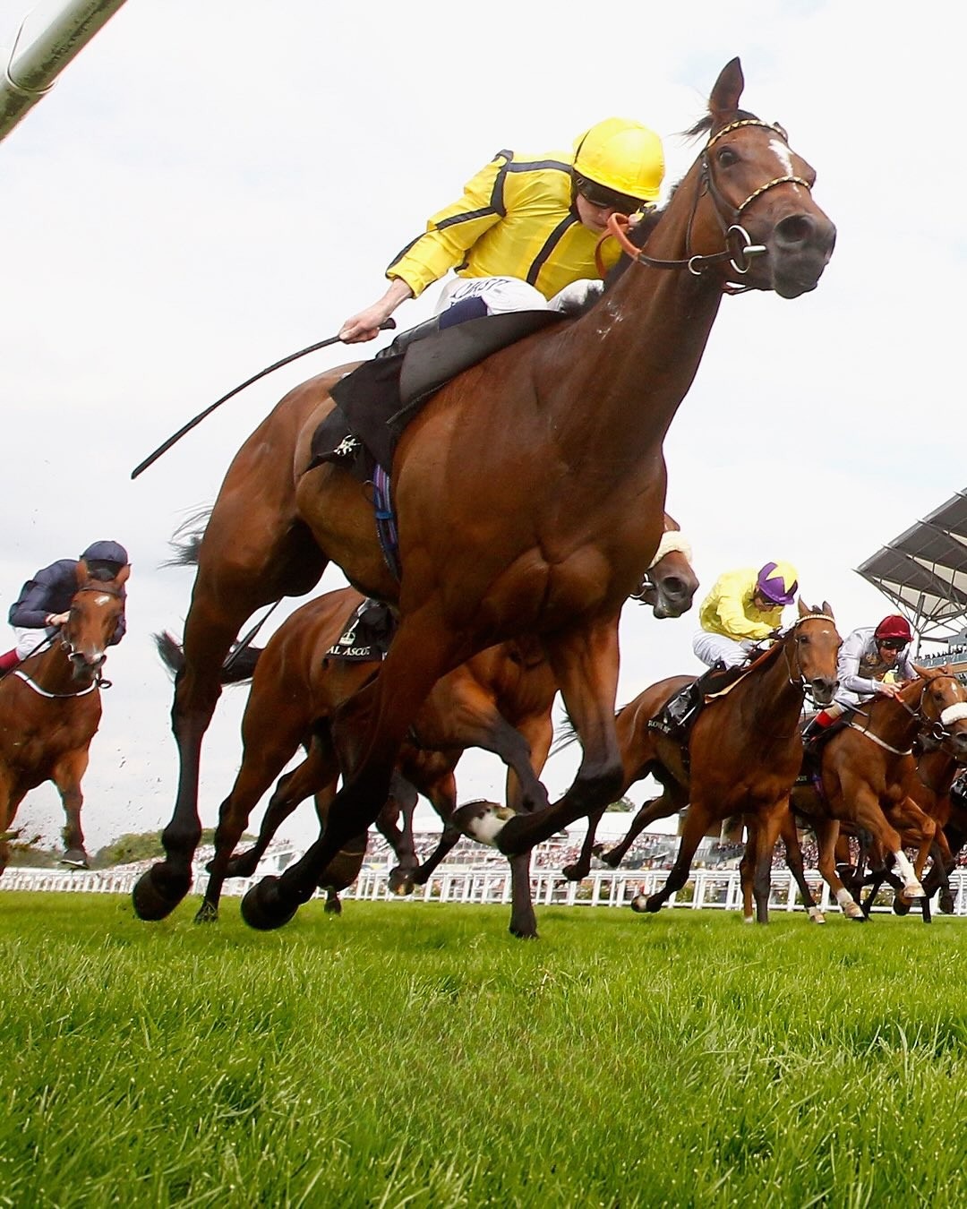 Royal Ascot 2026 programme announced for five-day racing festival