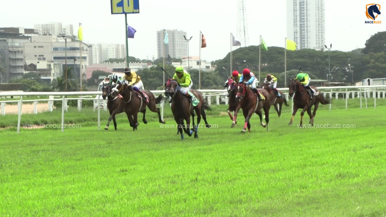 Bangalore Race Cards 13 June BTC Meydan Plate feature race preview at Bangalore Turf Club