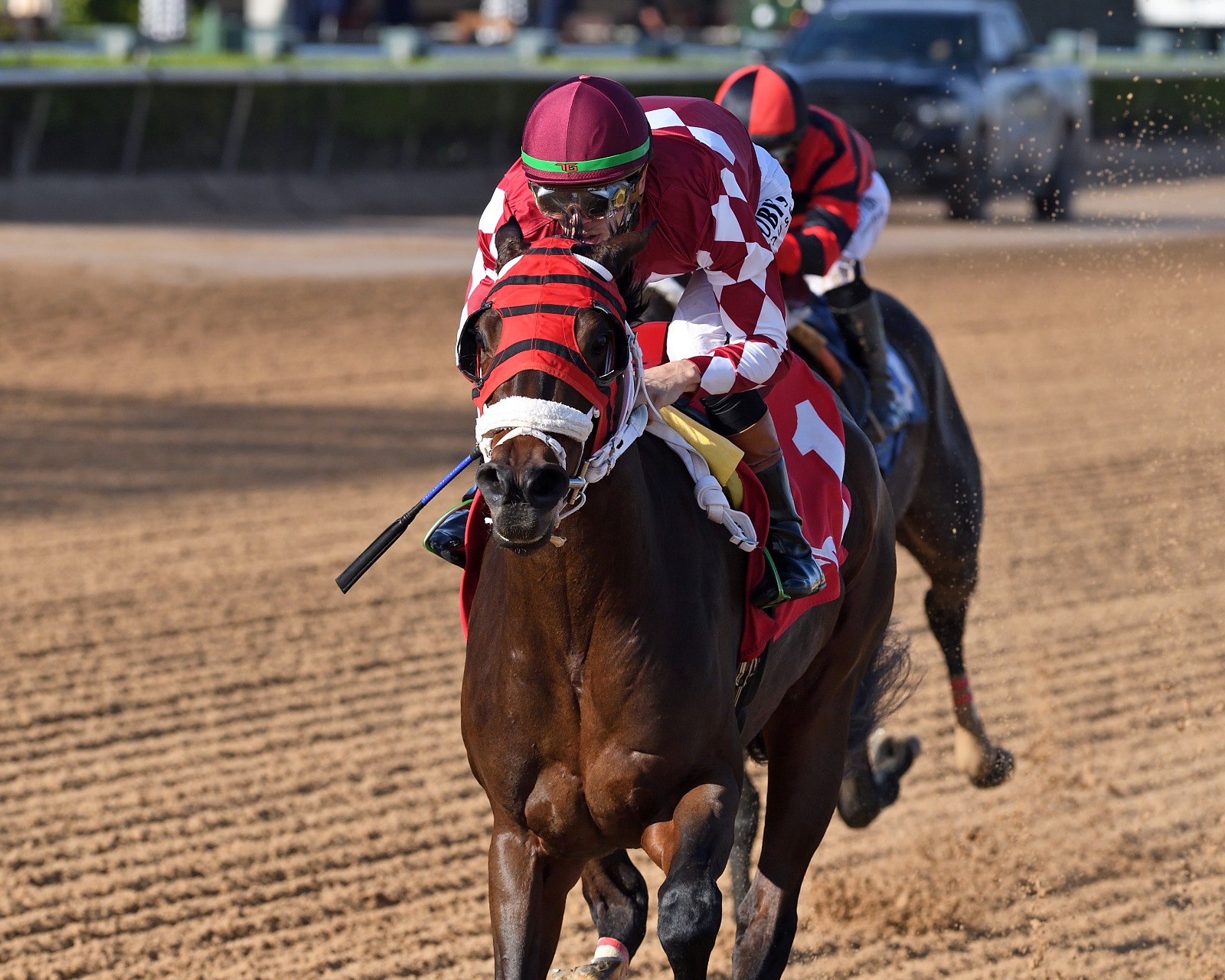 Winplaceandshow heading to the starting gate before the Azalea Stakes 2026 at Gulfstream Park