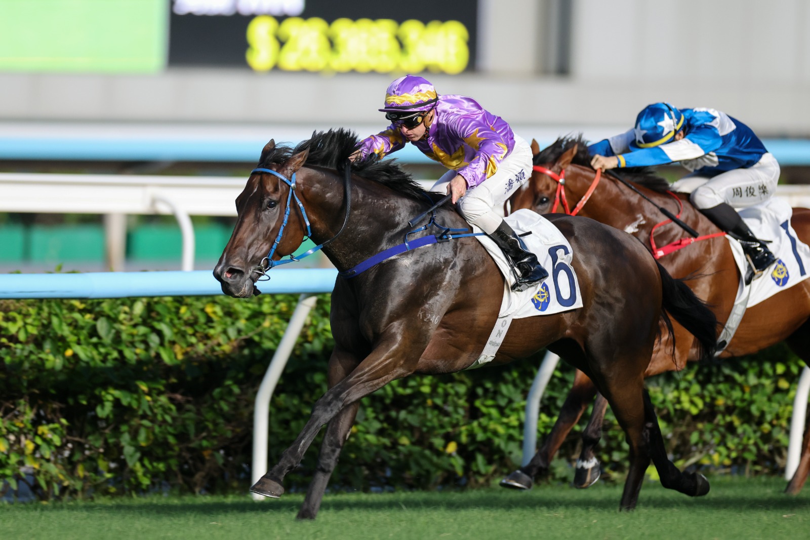 Happy Valley racecards 24 June feature the King's Road Handicap at Happy Valley Racecourse