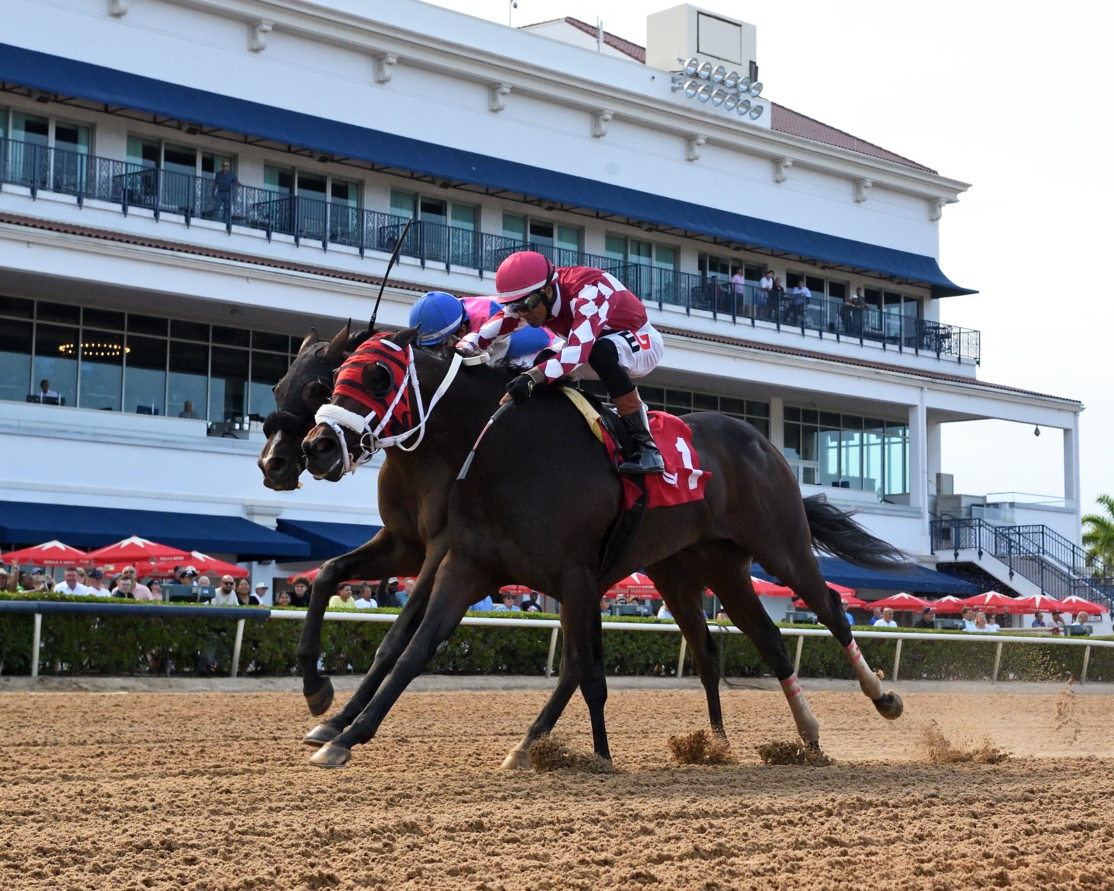 Azalea Stakes Result : Winplaceandshow wins