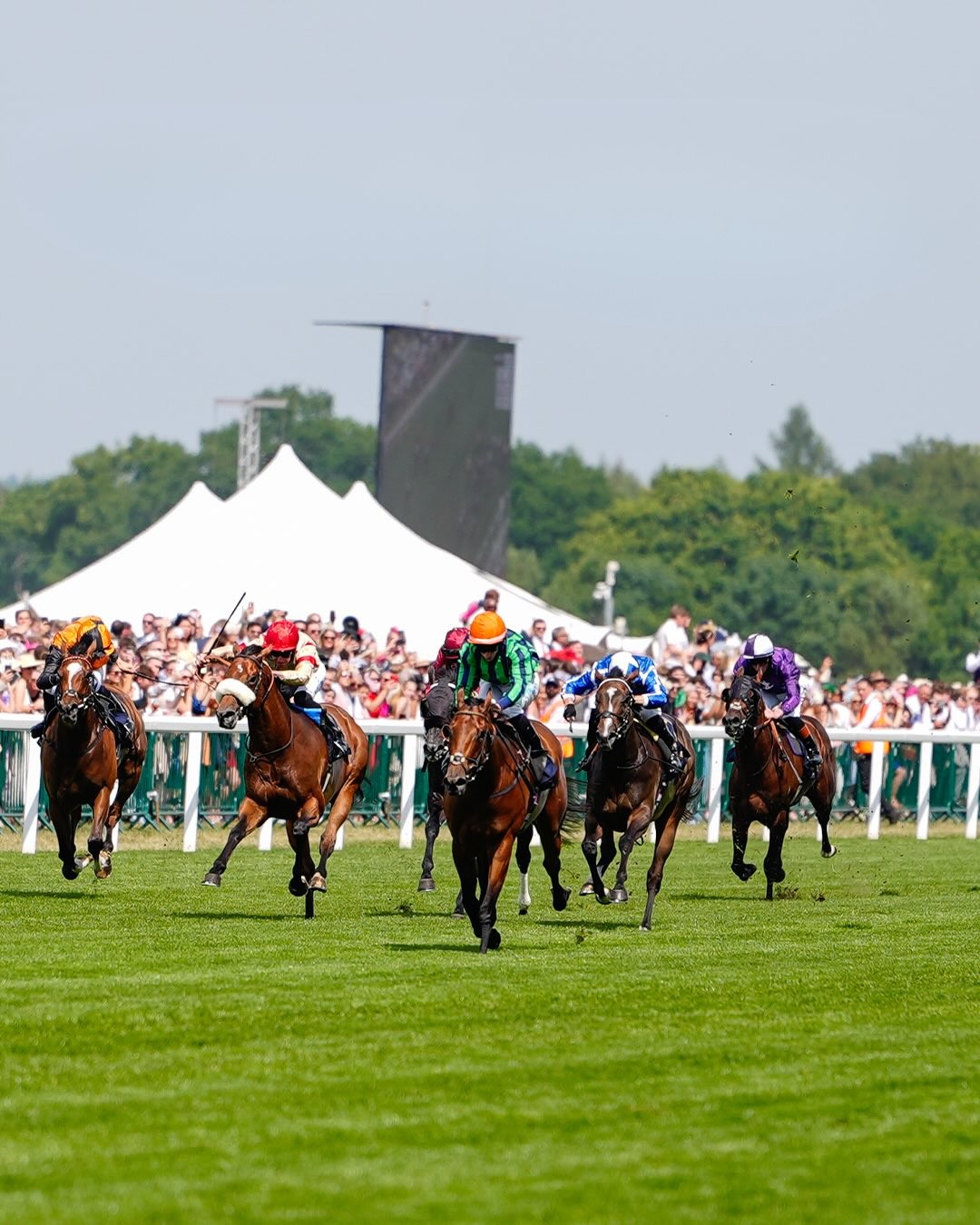 Royal Ascot grandstand packed with spectators during the 2026 Royal Meeting