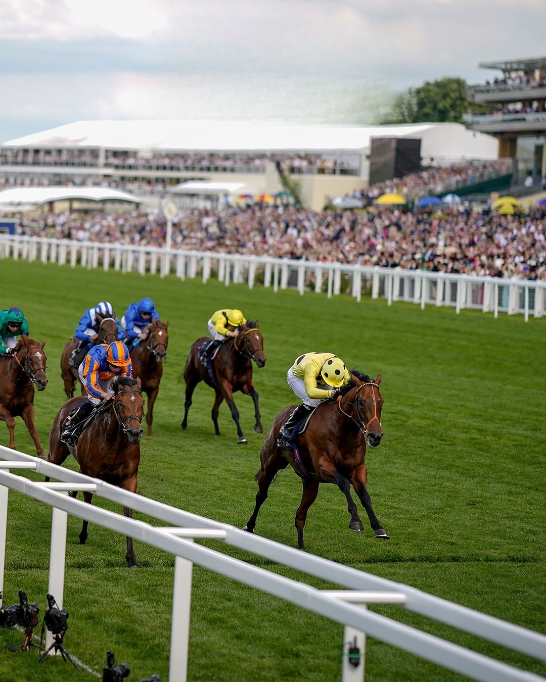 Royal Ascot Breeders’ Cup Challenge races featuring international thoroughbreds at Ascot Racecourse
