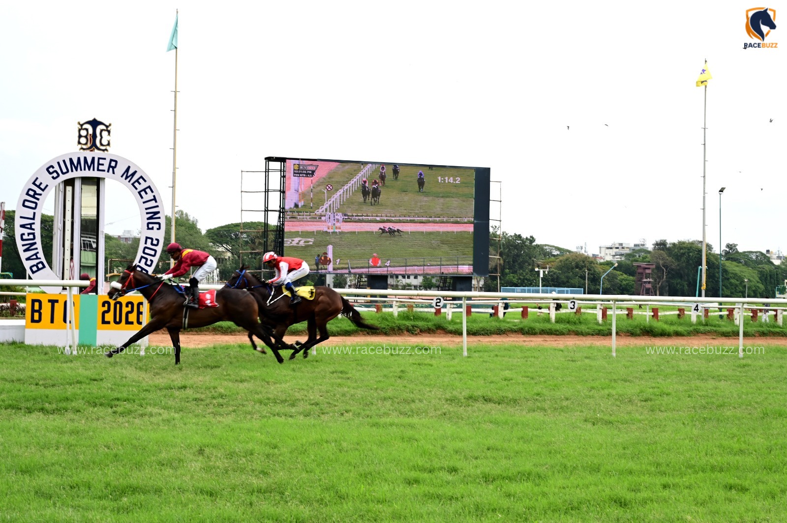 Bangalore Race Cards 20 June at BTC seven race summer puzzle preview