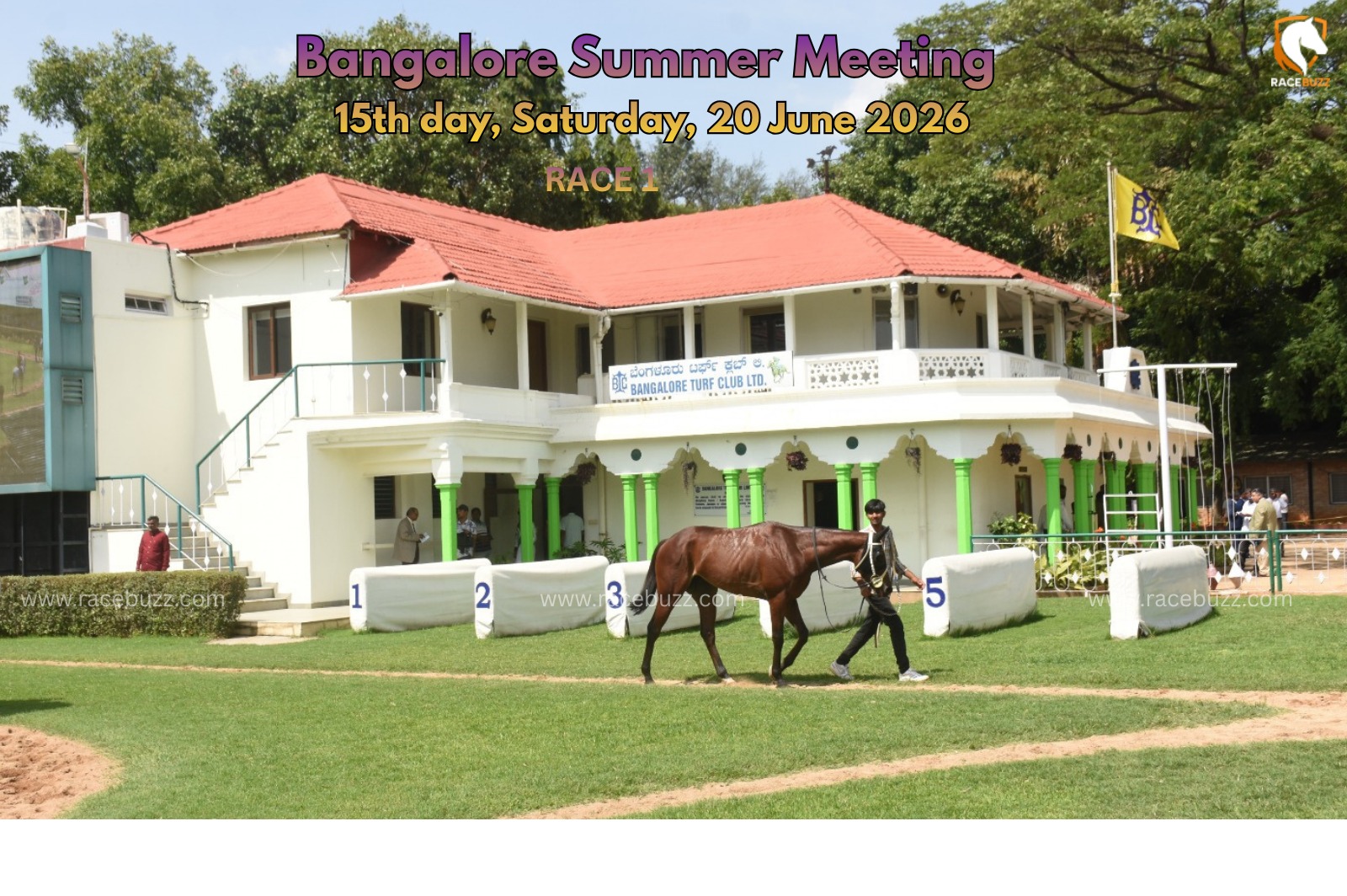 Bangalore race result 20th June BLACK IRISH winning The Pronto Pronto Plate