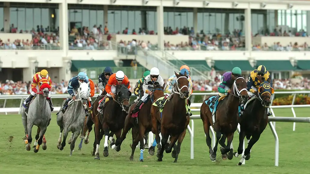 Racing action at Gulfstream Park during Sunday’s competitive card