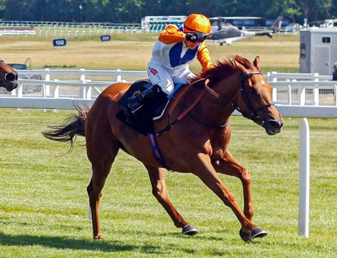Pat Dobbs Richard Hannon double Newbury Race Results 1 June