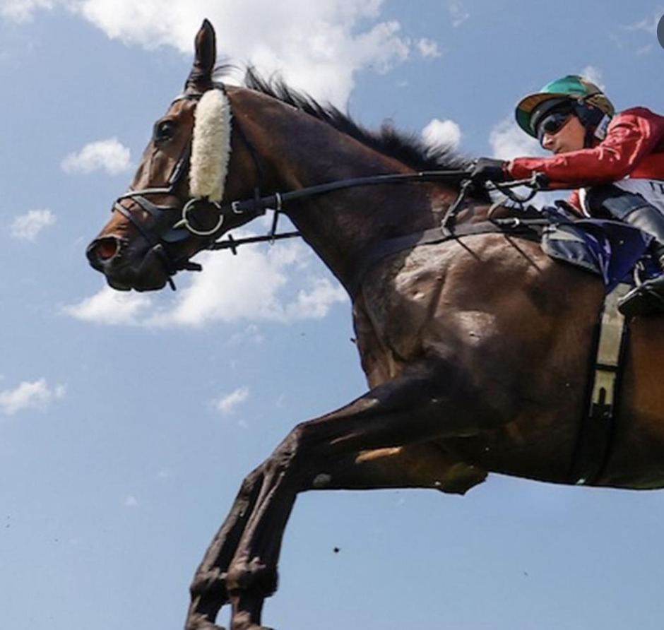 Newton Abbot racecards 3 June Wednesday jump racing action at Newton Abbot Racecourse