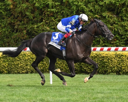 Saratoga Race Cards 6 June Metropolitan Handicap field at Saratoga Racecourse circuit